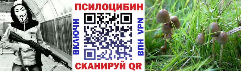 наркошоп  Камышин  hydra зеркало  Псилоцибиновые грибы мухоморы 